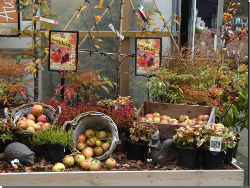 Coolings display with Bushel Boxes